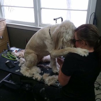 Deborah's Dog Styles - Thank you!! - Pet Groomers Near Me - Jacksonville Beach, Florida Deborah's Dog Styles - Thank you!! - Pet Groomers Near Me - Jacksonville Beach, Florida