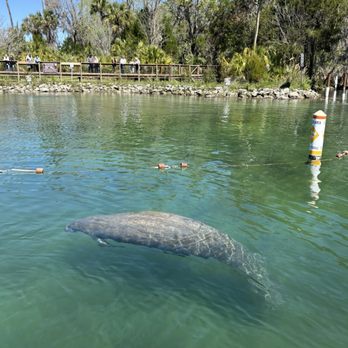 Get Up And Go Kayaking - Crystal River - Rafting/Kayaking Near Me - Crystal River, Florida Get Up And Go Kayaking - Crystal River - Rafting/Kayaking Near Me - Crystal River, Florida