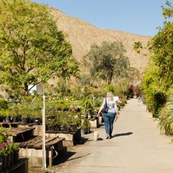 Moller's Garden Center - Wide variety of roses, flowers, plants, trees, and vines.