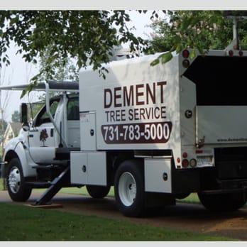 Delta Tree Service - Tree Services Near Me - Jackson, Tennessee