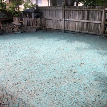 Phipps Landscape - After he came back to respray. - Landscaping Near Me - Rollinsford, New Hampshire