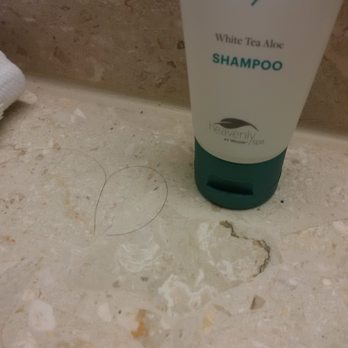 The Westin Pittsburgh - Hair (obviously much longer than mine) in the bathroom upon my check-in - Hotels Near Me - Pittsburgh, Pennsylvania The Westin Pittsburgh - Hair (obviously much longer than mine) in the bathroom upon my check-in - Hotels Near Me - Pittsburgh, Pennsylvania