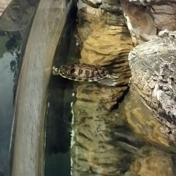 Chattahoochee Nature Center - Botanical Gardens Near Me - Roswell, Georgia