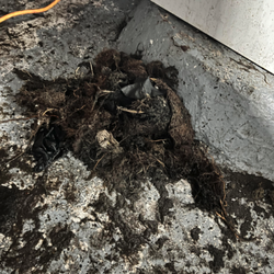 Plumbing and Draincare