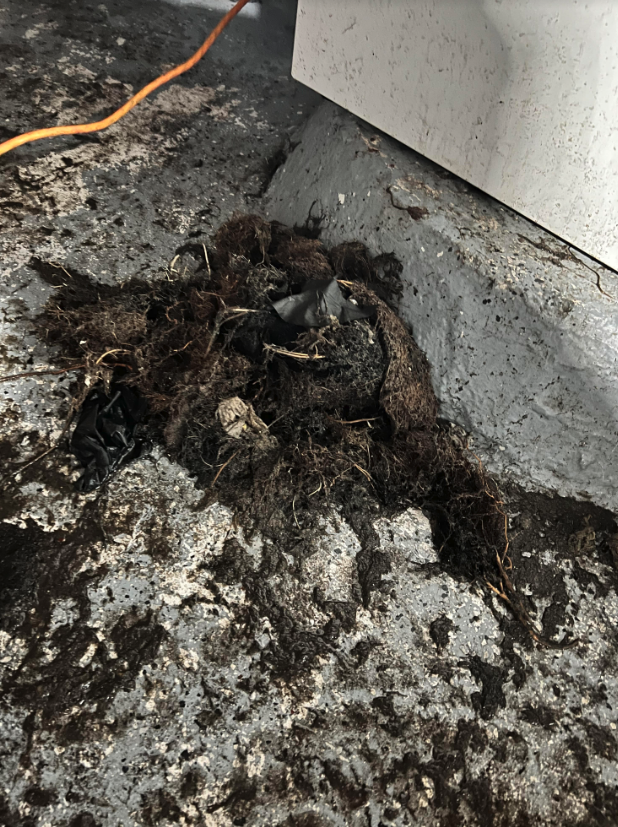 Slide of Plumbing and Draincare