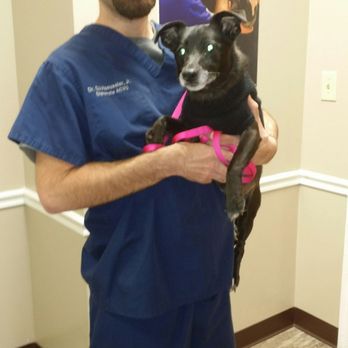 Animal Eye Institute - Veterinarians Near Me - Cincinnati, Ohio Animal Eye Institute - Veterinarians Near Me - Cincinnati, Ohio