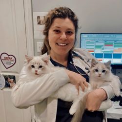 Southshore Animal Hospital at Frenchman's Creek