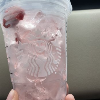 Starbucks - I didn't ask for extra ice and this is what I got - Coffee & Tea Near Me - Ontario, Ohio Starbucks - I didn't ask for extra ice and this is what I got - Coffee & Tea Near Me - Ontario, Ohio