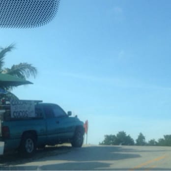 Veteran's Memorial Park - Coconut man.  Good coconut water; bad picture. Think: straw in chilled, green coconut. $3 for 1 or $2.50 each if you buy 2. - Parks Near Me - Big Pine Key, Florida