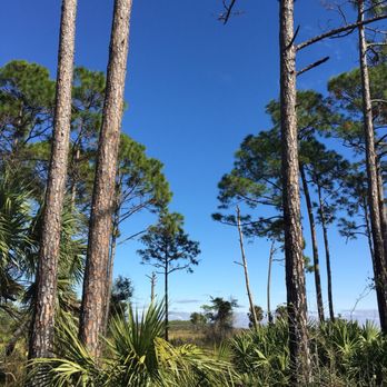 St Marks National Wildlife Refuge - Gorgeous anytime of the year - Parks Near Me - Saint Marks, Florida