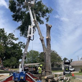 Essential Tree Service  - Tree Services Near Me - Largo, Florida