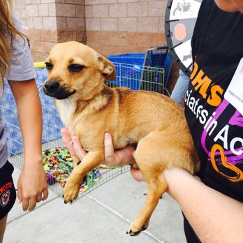 PetSmart - Cutie - Pet Groomers Near Me - Las Vegas, Nevada PetSmart - Cutie - Pet Groomers Near Me - Las Vegas, Nevada