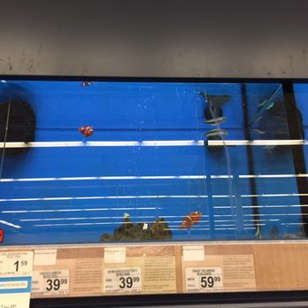 Petco - Pet Stores Near Me - Opelika, Alabama Petco - Pet Stores Near Me - Opelika, Alabama
