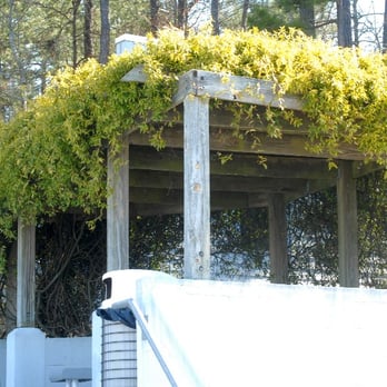 Lake Crabtree County Park - Picnic Tables under a trellis at the boat rental/beach area - Parks Near Me - Morrisville, North Carolina Lake Crabtree County Park - Picnic Tables under a trellis at the boat rental/beach area - Parks Near Me - Morrisville, North Carolina