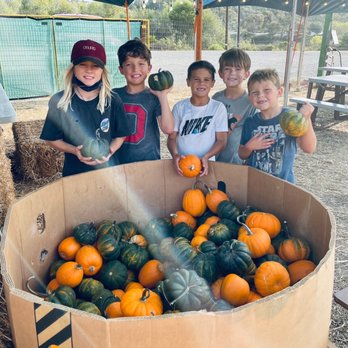 Pumpkin Palooza - We had a blast w the kids! Tons of cool pumpkins and fun slides! The owner was so nice! Thank you for making it a fun fall outing for us! - Pumpkin Patches Near Me - Carlsbad, California Pumpkin Palooza - We had a blast w the kids! Tons of cool pumpkins and fun slides! The owner was so nice! Thank you for making it a fun fall outing for us! - Pumpkin Patches Near Me - Carlsbad, California