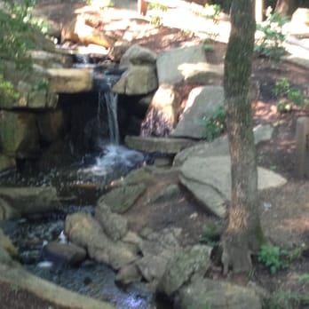 The Bog Garden - Serenity Falls in the Bog Garden - Parks Near Me - Greensboro, North Carolina