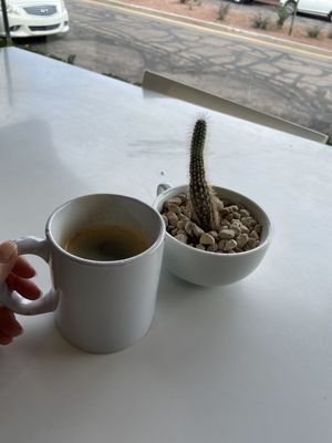 Ombre Coffee by null