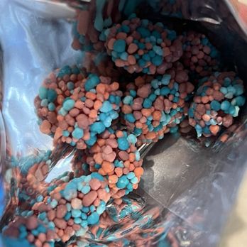 Ferrara Pan Candy - Nerds Gummy Clusters Very Berry - Candy Stores Near Me - Bellwood, Illinois Ferrara Pan Candy - Nerds Gummy Clusters Very Berry - Candy Stores Near Me - Bellwood, Illinois
