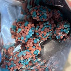 Ferrara Pan Candy - Nerds Gummy Clusters Very Berry