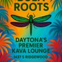 Photo of NE Roots 