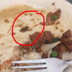 The Best 10 Chinese Restaurants In Cleveland Tn Updated Covid 19 Hours Services Last Yelp Chinese Restaurants In Cleveland Tn