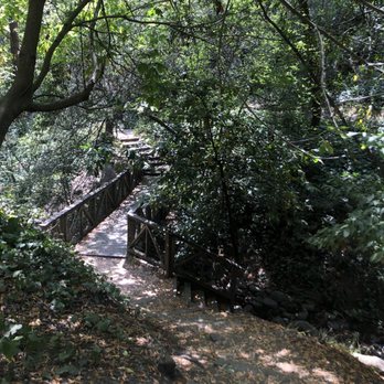 Codornices Park - Walkway down a hill to a little bridge - Parks Near Me - Berkeley, California