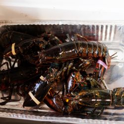 Clambake Catering - Lobster