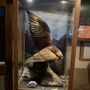 Photo of Salmon Bay Eagles