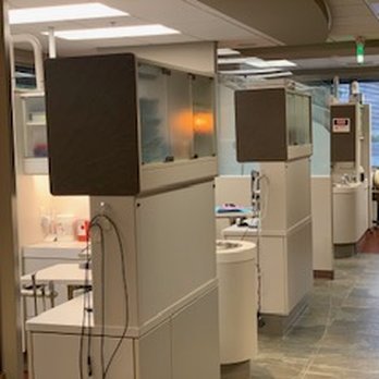 Exceptional Cosmetic & General Dentistry: Neda Sayyah, DMD - Cosmetic Dentists Near Me - Bellevue, Washington Exceptional Cosmetic & General Dentistry: Neda Sayyah, DMD - Cosmetic Dentists Near Me - Bellevue, Washington