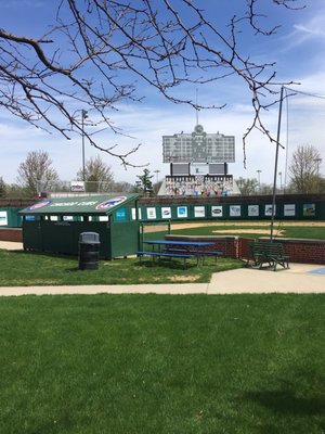 Little Cubs Field by null