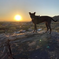 Creating Moments of Joy - Sunrise hike with my own best friend Ember