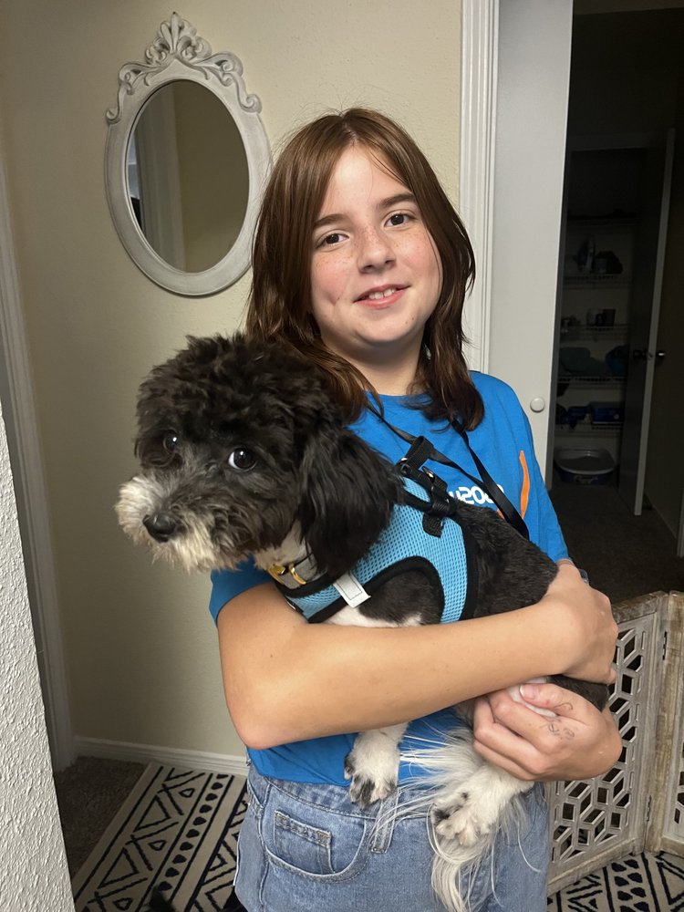 POOP SCOOP BOOGIE 315 Valleywood Dr, The Woodlands, Texas Pet Waste