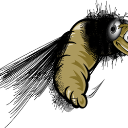 Wooly Bugger Productions