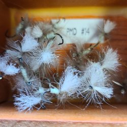 Fox Creek Store - Nice one, eh? My dad was a fisherman. How I wish I could send him a few. These touched my heart a little.