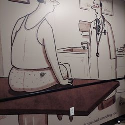 Vascular Specialists of Central Florida