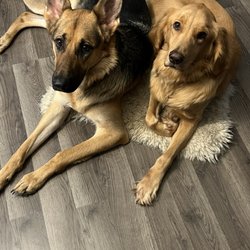 Family Animal Care