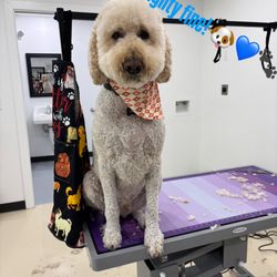 Furry Haven - Nice and Clean!