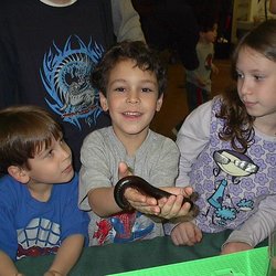 The Wildlife Conservation and Education Center