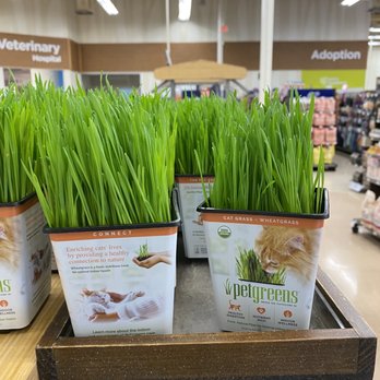 Petco - Pet Training Near Me - Fontana, California Petco - Pet Training Near Me - Fontana, California