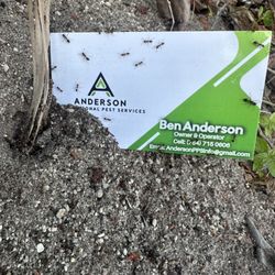 Anderson Professional Pest services