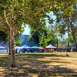 Roosevelt Park