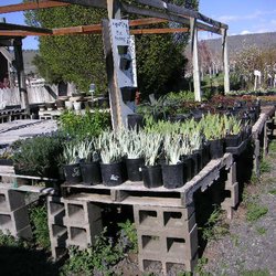 Plantscapes of Oregon