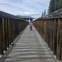 Photo of Beaver Boardwalk
