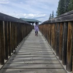 Beaver Boardwalk - Lots of boards to walk around Lake Maxwell