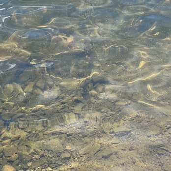 Gyp's Tavern - The Fish are biting - Bars Near Me - Branchville, New Jersey