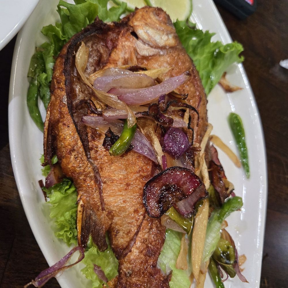 Black Thai Authentic Cuisine - Salad Near Me - Carrollton, Texas Black Thai Authentic Cuisine - Salad Near Me - Carrollton, Texas