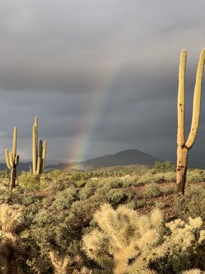 Lost Dutchman State Park by null
