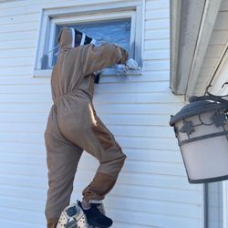 Mr.Xterminator Pest Control - Wasps Nest removal/infestation