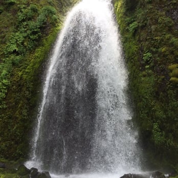 Wahkeena Falls Loop Trail - Shut up, Oregon. You're too beautiful. - Hiking Near Me - Troutdale, Oregon Wahkeena Falls Loop Trail - Shut up, Oregon. You're too beautiful. - Hiking Near Me - Troutdale, Oregon