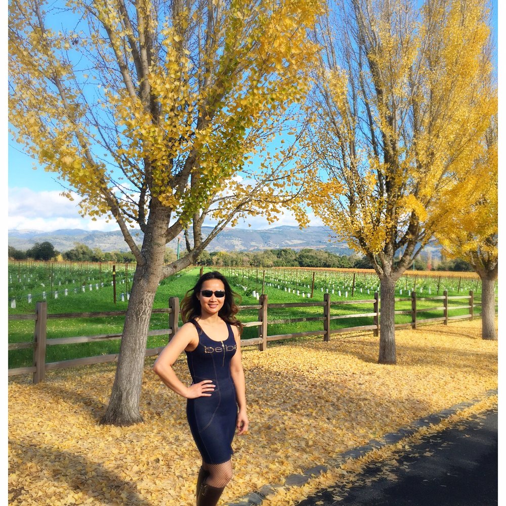 Far Niente - 11/21/2016: Leaves half gone, but still beautiful - Wineries Near Me - Oakville, California Far Niente - 11/21/2016: Leaves half gone, but still beautiful - Wineries Near Me - Oakville, California